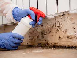 Best HVAC Mold Inspection and Cleaning  in Lennox, CA